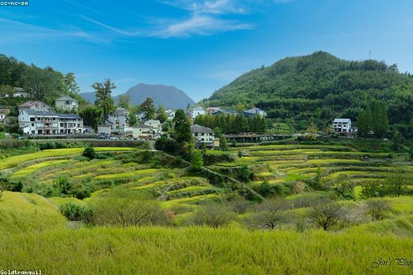 How to Build a Budget-Friendly Home in Mandya, Mysore & Bengaluru